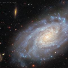 Spiral Galaxy NGC 3370 from Hubble