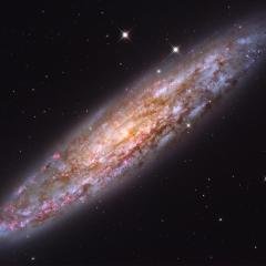 NGC 253: Dusty Island Universe