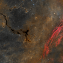 A Dark Seahorse in Cepheus