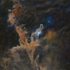 Chamaeleon Dark Nebulas