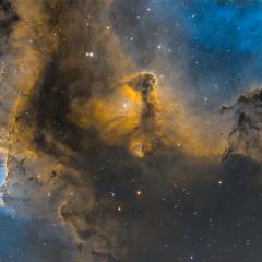 The Heart of the Soul Nebula
