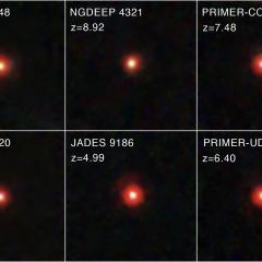 Mystery: Little Red Dots in the Early Universe
