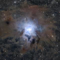 NGC 7023: The Iris Nebula