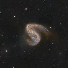 NGC 2442: Galaxy in Volans