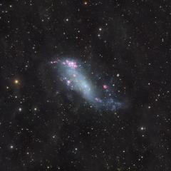 IC 2574: Coddington’s Nebula