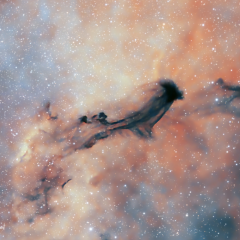 B93: A Dark Interstellar Ghost