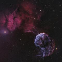 Sharpless 249 and the Jellyfish Nebula
