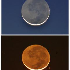 Lunar Occultation of Mercury