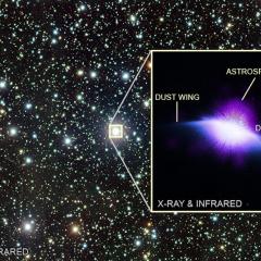 The Astrosphere of HD 61005