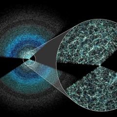 Large Scale Structure of the Universe