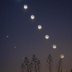 The Moon, Venus, and the Pleiades