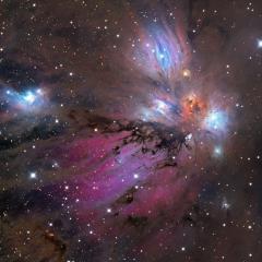 NGC 2170: The Angel Nebula