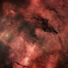 The Dark Wolf Nebula