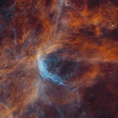 The Nebulous Realm of WR 134
