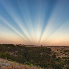Anticrepuscular Rays over Sicily