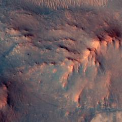 Mars Marathon by Perseverance