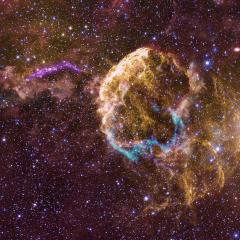 Sibling Supernova Remnants