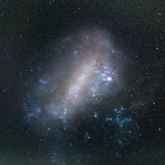 The Large Magellanic Cloud