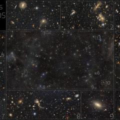 Rubin’s Cosmos Field