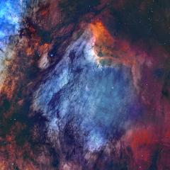 The Pelican Nebula in Gas, Dust, and Stars