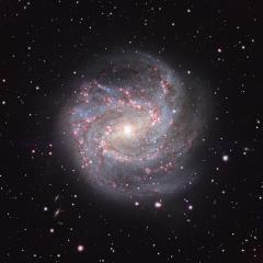 M83: The Southern Pinwheel