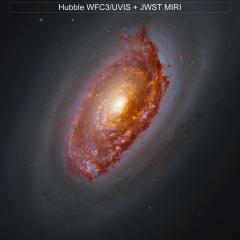 Webb’s View of M64
