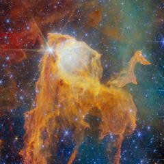 A Treasure Chest in the Carina Nebula