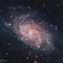 Messier 33: The Triangulum Galaxy