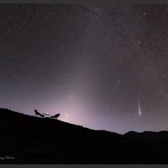 A Zodiacal Night