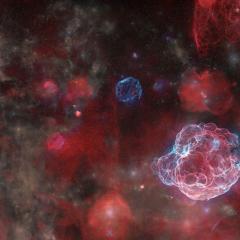 The Ghosts of Five Supernovas