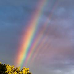 Supernumerary Rainbows over New Jersey