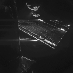 Rosetta’s Selfie