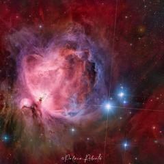 M42: The Great Nebula in Orion